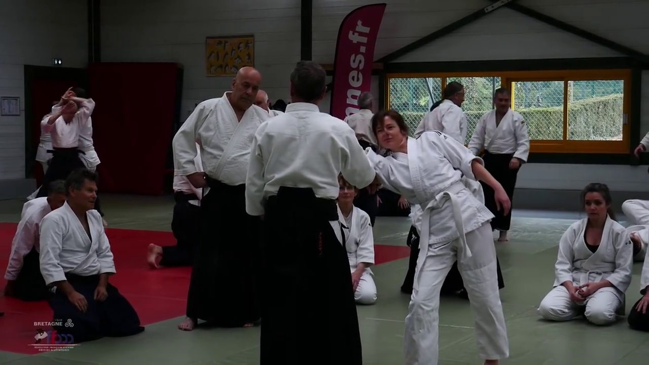 Démonstration de technique sur le tatami, les pratiquants assis en seiza regardent